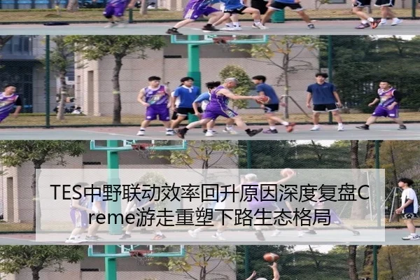 TES中野联动效率回升原因深度复盘Creme游走重塑下路生态格局